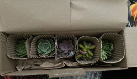 Regalos con Alma y Naturaleza