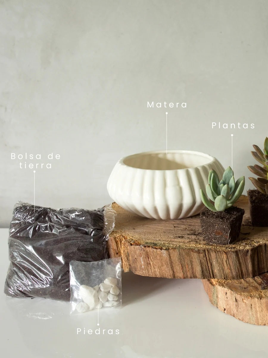 Imagen del producto 2