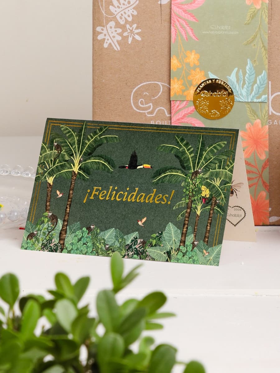 Imagen del producto 3