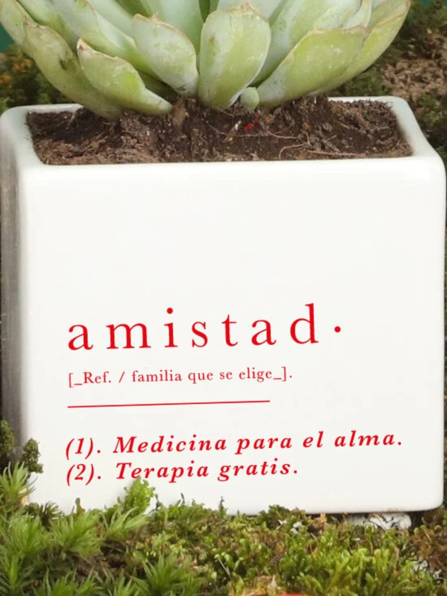 Imagen del producto 2