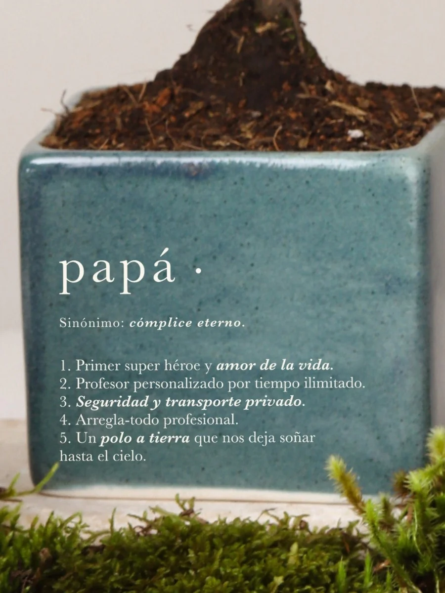Imagen del producto 2